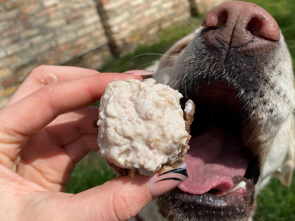Hackfleisch-Muffins für Hunde