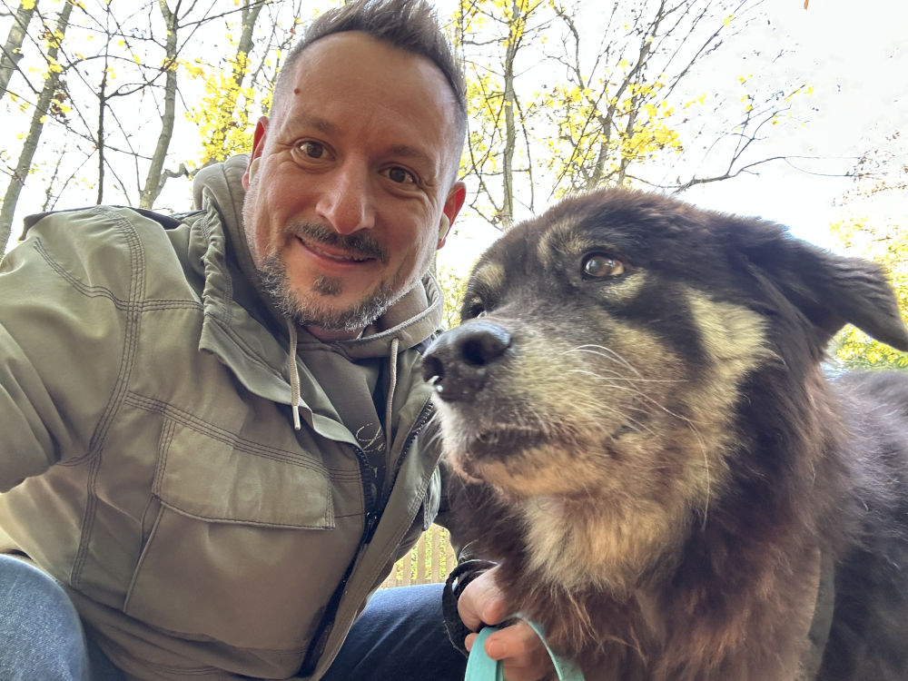 Erfahrene Hundetrainer kümmern sich um euren Vierbeiner.