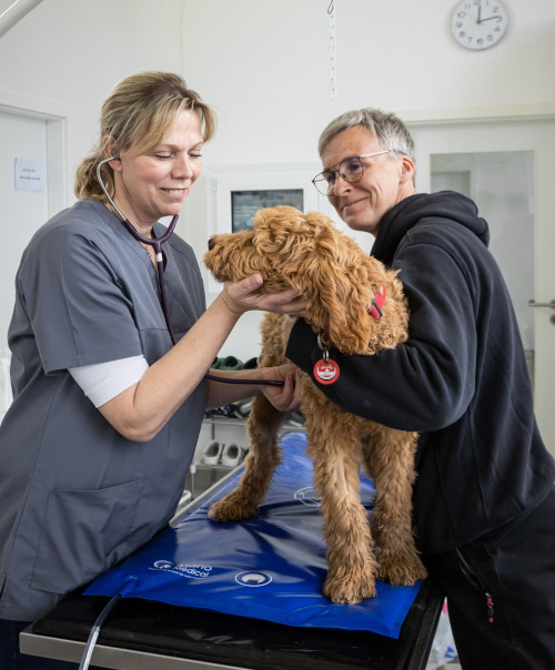 Notfallbetreuung durch Tierärztin Dr. Jessica Strauß.